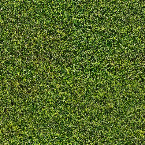Seamless Grass Lawn Texture
