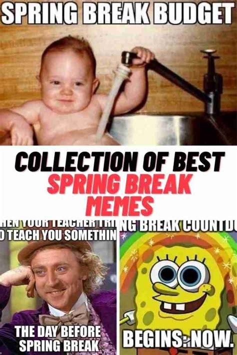 Collection Of Best Spring Break Memes 2023 Guide For Geek Moms