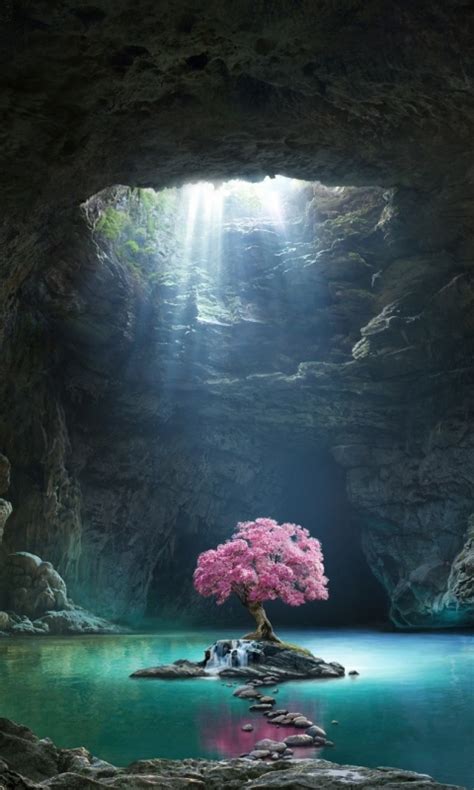 Download 480x800 Wallpaper Pink Tree Blossom Cave Lake Nature