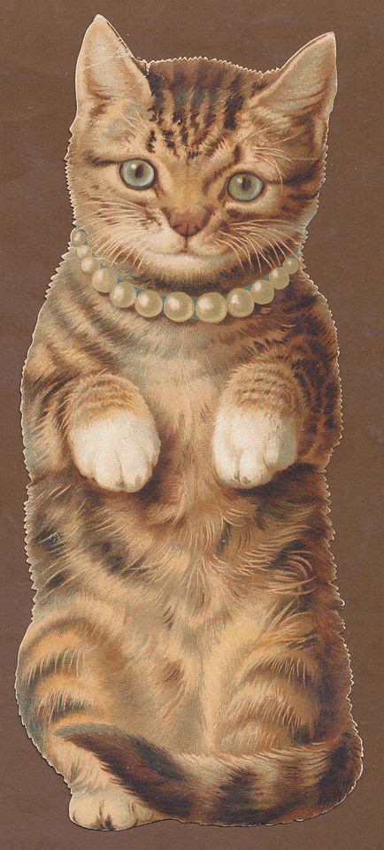 Sweet Victorian Cats And Kittens Vintage Cat Cats Cat Art