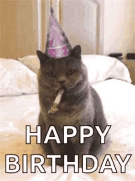 Happy Birthday Cat  Uinona S