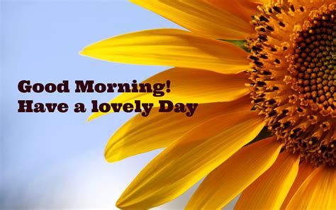 I early wait for that good morning text message every morning. 35 BEST INSPIRATIONAL MORNING QUOTES TO MAKE YOUR DAY ...