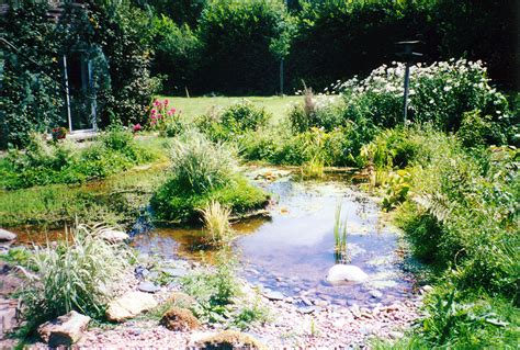 Wildlife Garden Pond Design In Wallington North Surrey Earthcare Gardens