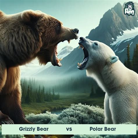 Grizzly Bear Vs Polar Bear See Who Wins Animal Matchup