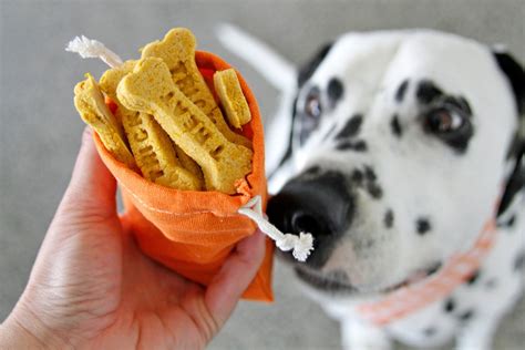 Peanut Butter Pumpkin Dog Trick Or Treats Dalmatian Diy