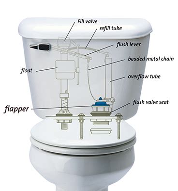 Steps To Replace A Toilet Flapper Tips On Buying And Replacing