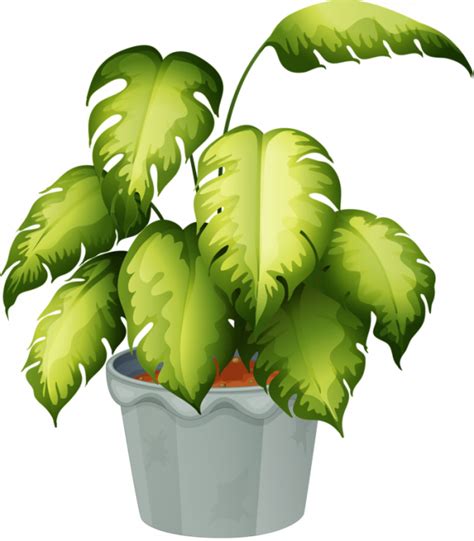 Free Clipart Plants Transparent Background And Other Clipart Images On