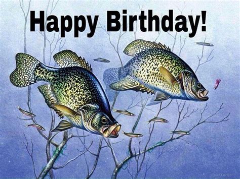 Happy Birthday For Your Fishing Buddies Happy Birthday Fishing