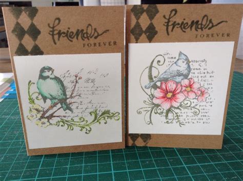 Take on new adventures in crafting with this month's featured paper collection, designed to help you create scrapbook pages, cards, and more to celebrate everything you love about the great outdoors. Pin on Buffet classes