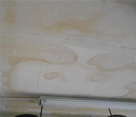 Is brown stemonitis mold dangerous? Brown Spot on Ceiling After Water Damage | SERVPRO of ...