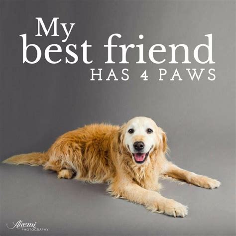 My Best Friend Animal Lover Quotes My Best Friend Dog Quotes