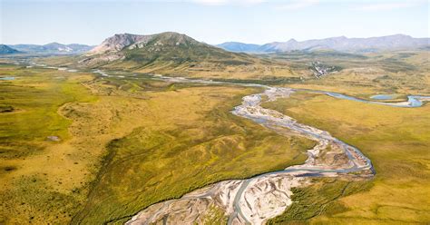 Gates Of The Arctic National Park And Preserve Audubon