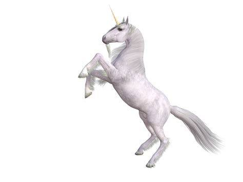 Download gambar sketsa unicorn 1 003 queen bee 403550 doll via gambar.co.id. Kuda Unicorn Hewan Gambar Gratis Di Pixabay