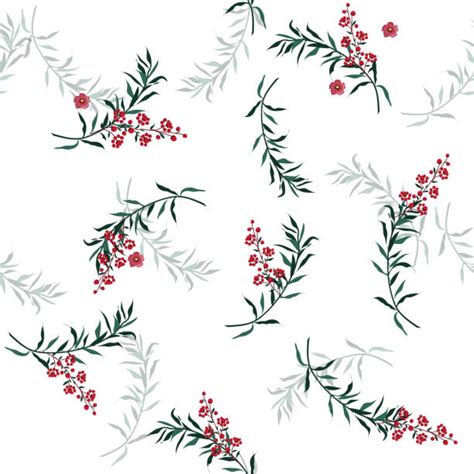 Christmas Greenery Pictures Illustrations Royalty Free Vector Graphics