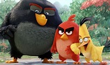 Llega la película de los Angry Birds - Libertad Digital