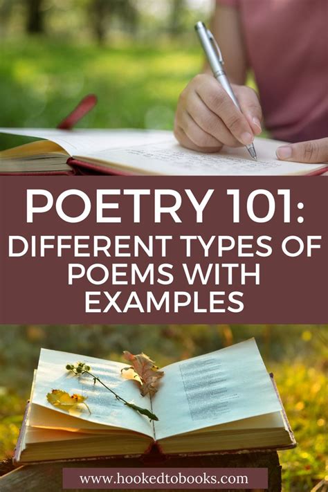 Poetry 101 13 Different Types Of Poems With Examples Types Of Poems