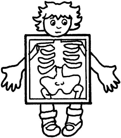 Corpul Uman Anatomie Imagini De Colorat Planse Fisa Biologie ~ Desene