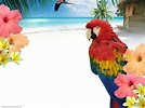 FREE twitter backgrounds | twitter backgrounds, free twitter ...