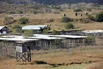 The case for preserving Guantanamo Bay's Camp X-Ray | CBC Radio
