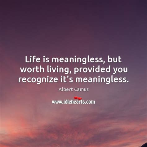 Life Is Meaningless But Worth Living Provided You Recognize Its
