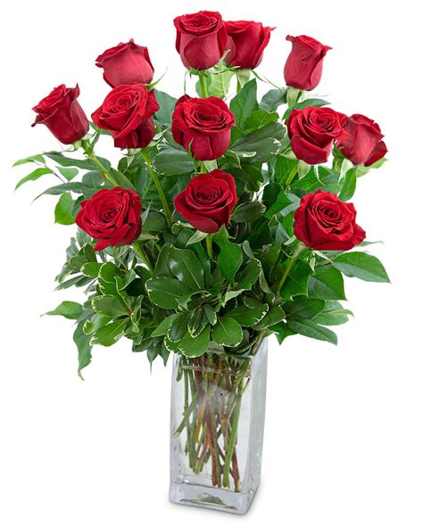 Classic Dozen Red Roses Lucky Flowers