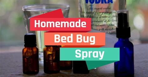 Homemade Beds Homemade Bug Spray How To Make Homemade How To Make