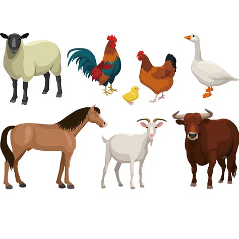 Cattle Goat Sheep Livestock Farm Animal Vector Illustration Png