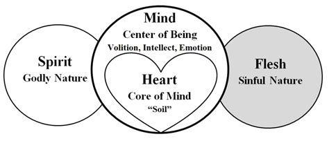 Understanding Human Nature Spirit Mind And Body