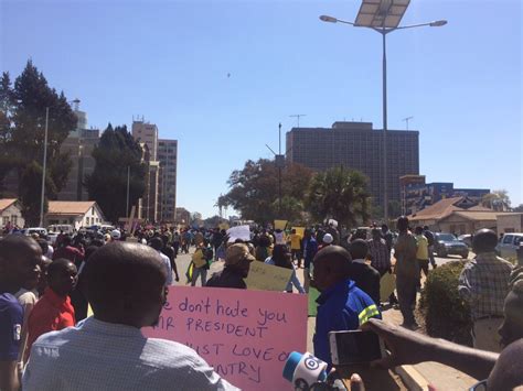 Dzamara Addresses Notobondnotes Protesters In Harare Zim Metro
