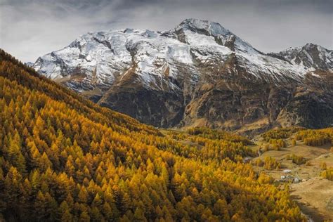 Mont Blanc Peak Bing Wallpaper Download
