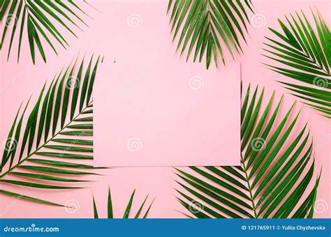 Tropical Palm Leaves On Pastel Pink Background With Paper Card Note