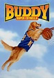 Buddy: Super estrella (Doblada) - Movies on Google Play