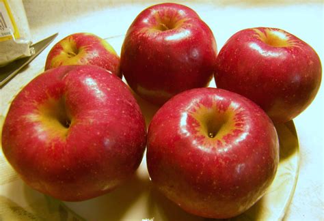 Ida red, can't make a living for ida red. Ida Red Apples - Eat Like No One Else