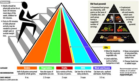 Development of mypyramid (journal of nutrition education and behavior supplement); New Fangled Food Pyramid - Food Photo (297786) - Fanpop