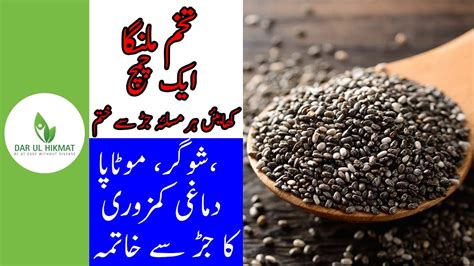 Chia Seeds Benefits Urduhindi Dar Ul Hikmat Urdu Youtube