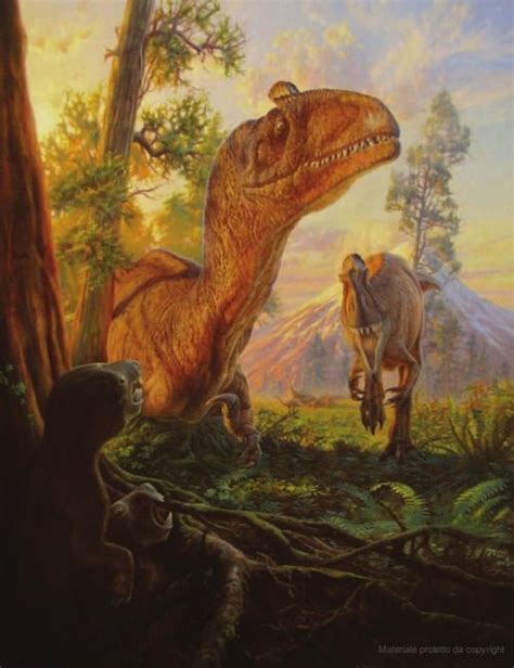 Tony Windberg‏ Theropods Animais Dinossaurs