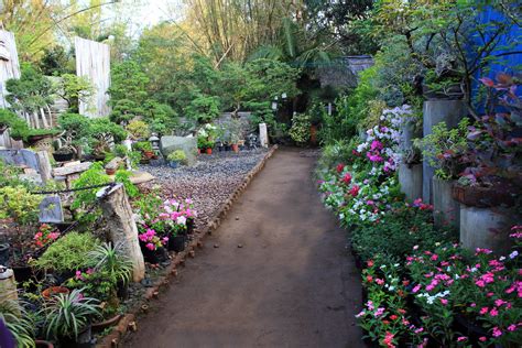 Flower Garden Free Stock Photo Public Domain Pictures