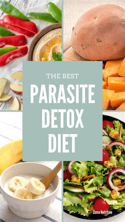 Pin On Parasite Cleansediet