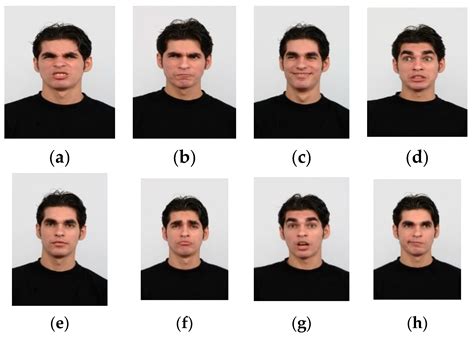 applied sciences free full text feature selection for facial emotion recognition using