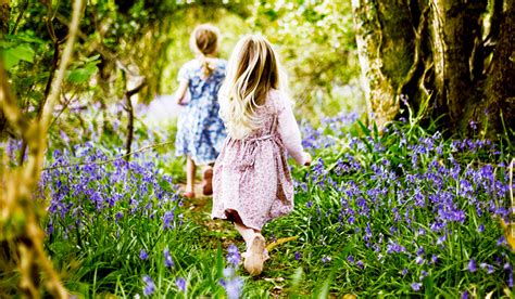 10 Places To See Beautiful Bluebells In The Uk The Green Parent