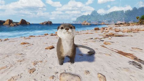 How To Find And Tame An Otter In Ark Survival Ascended Dot Esports