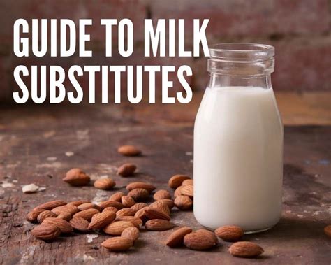 Guide To Milk Substitutes Milk Vegan Milk Food Substitutions