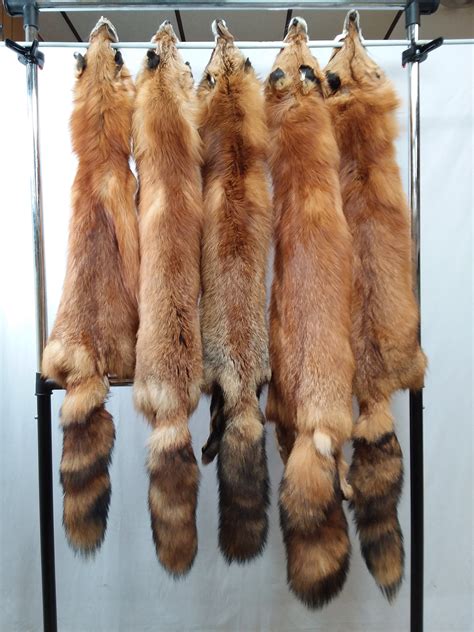 Canadian Red Fox Dakotaline Furs