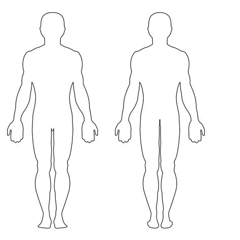 Printable Outline Of Female Human Body Front And Back Goimages Web