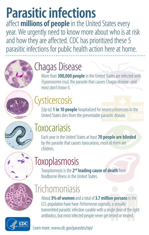 Cdc Parasites Neglected Parasitic Infections Npis In The United States
