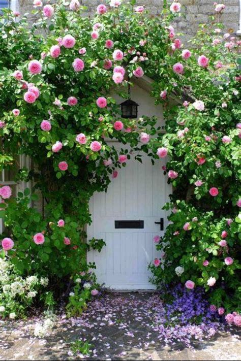 Rose Covered Door Garden Gates Front Garden Garden And Yard Home And