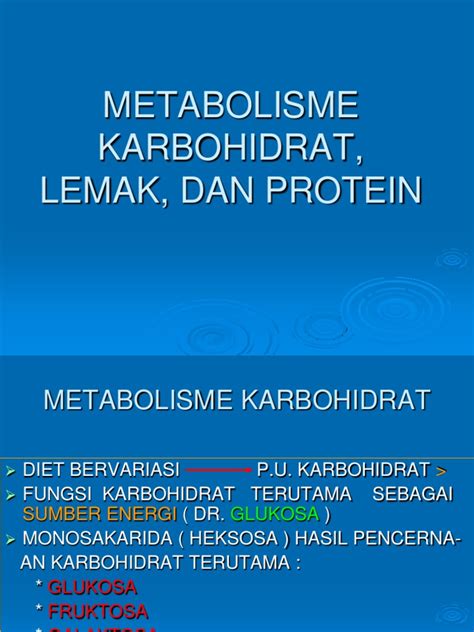 Metabolisme Karbohidrat Lemak Protein Pdf
