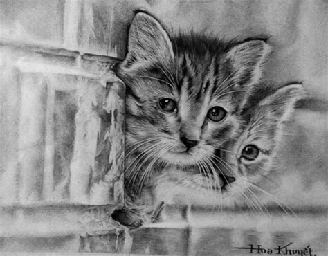 40 Great Examples Of Cute And Majestic Cat Drawings Tail