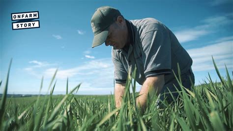 No Till Farming In The South On Farm Story YouTube