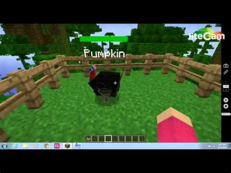How to tame a fox in minecraft, in this video i will show you how to tame a fox or foxes in minecraft 1.15.1. how to tame a turkey and fox in minecraft mo creaturs ...